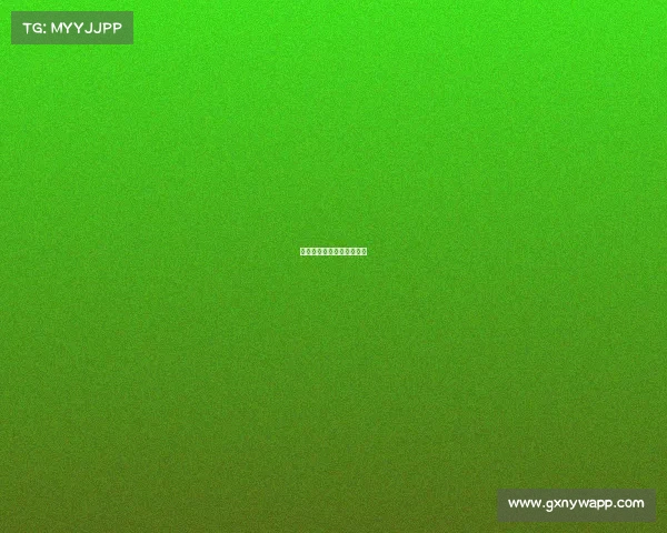 申鑫队赛事—申鑫转会申花